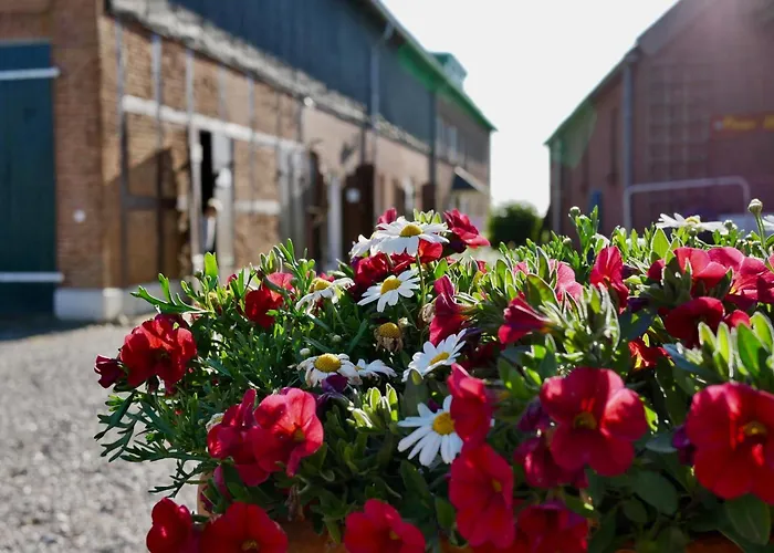 Knusthof Lafrenz - Suedwest